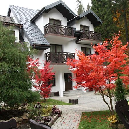 Bed and Breakfast Gosciniec à Krynica-Zdrój Extérieur photo